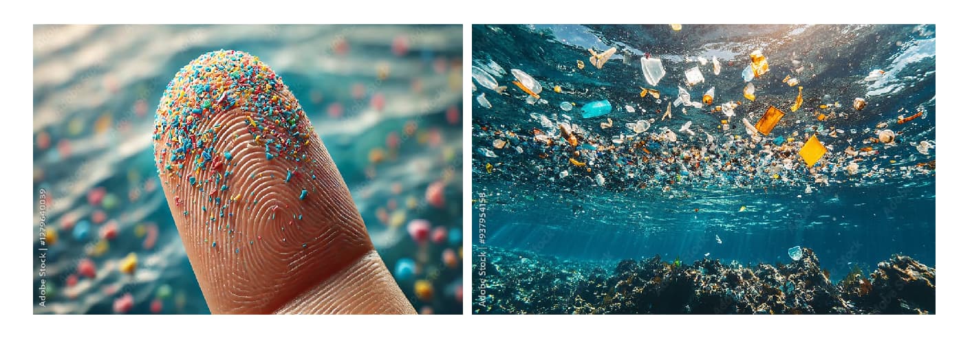 粒子になったマイクロプラスチックは、食物連鎖を経て人間の体内にも取り込まれる可能性が高いです